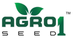 Agro1 Seed